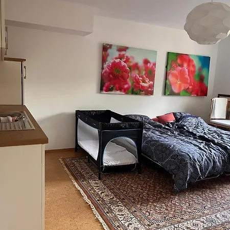 Ruhiges Zimmer Direkt In S-Bahn-Naehe Heidelberg Extérieur photo