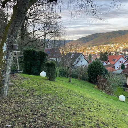 Ruhiges Zimmer Direkt In S-Bahn-Naehe Heidelberg Extérieur photo