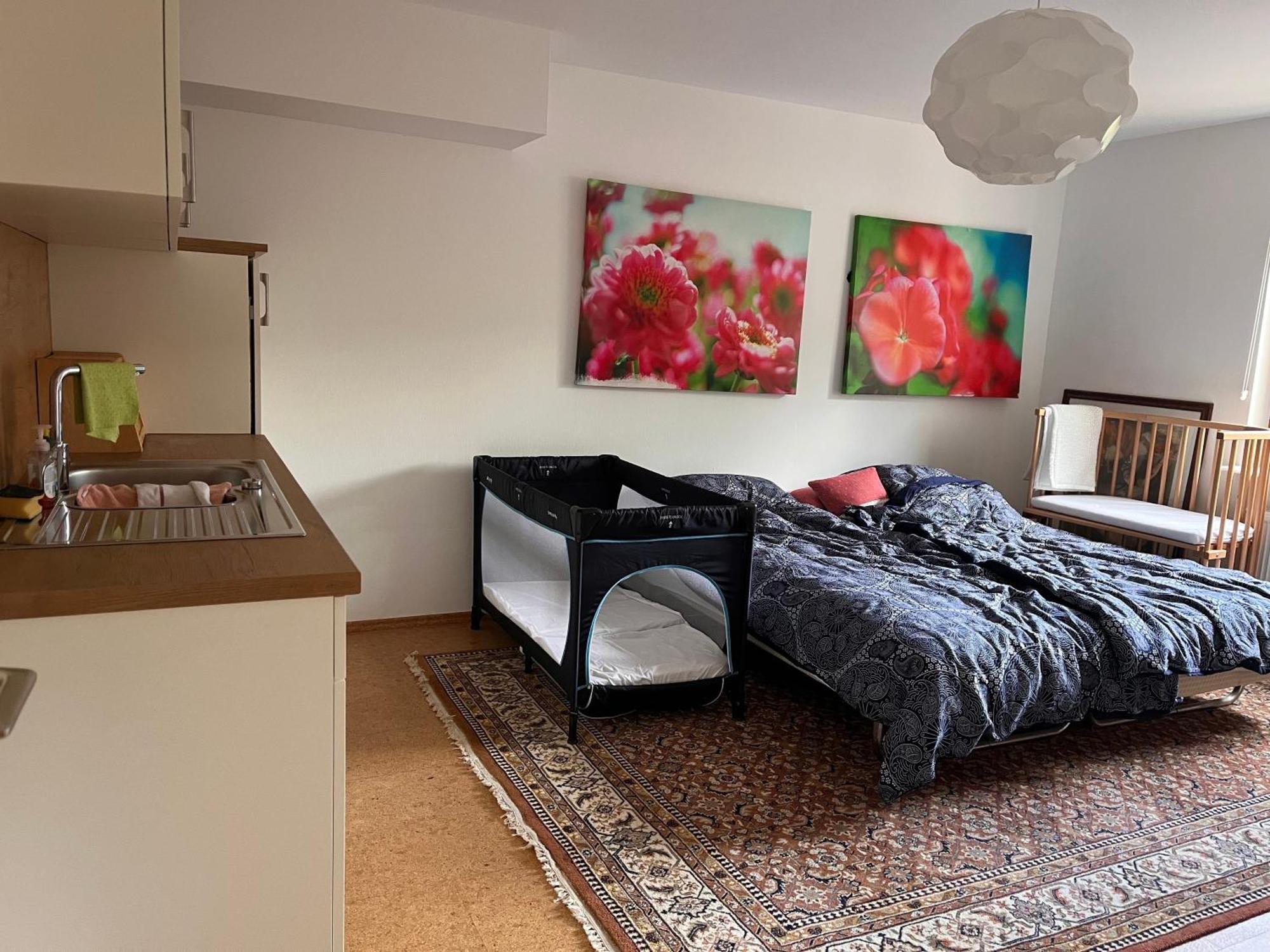 Apartment Ruhiges Direkt In S-bahn-naehe Heidelberg