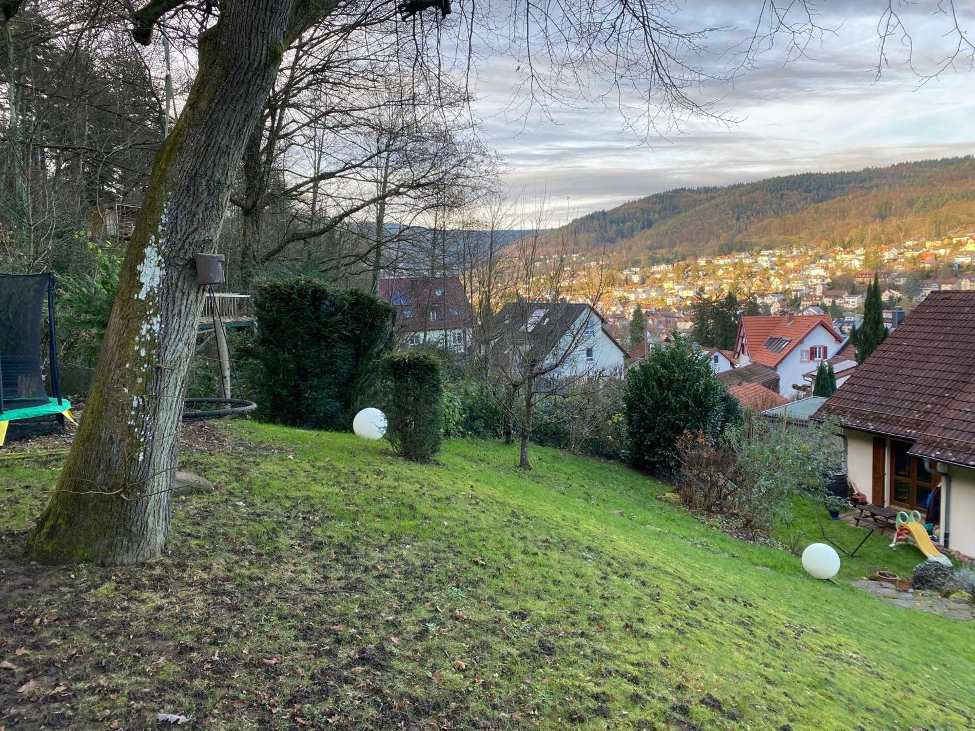 Ruhiges Direkt In S-bahn-naehe * Heidelberg
